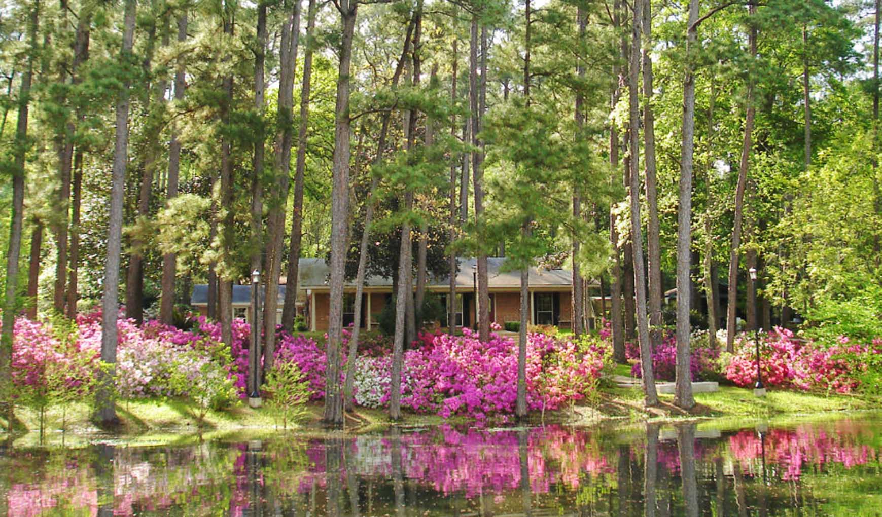 The Lakehouse